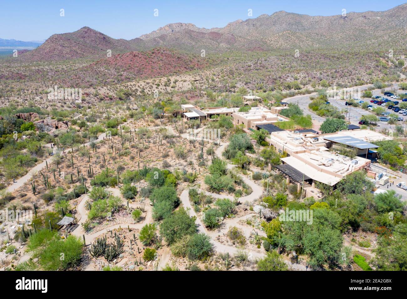 Musée du désert d'Arizona-Sonora, Tuscon, Comté de Pima, Arizona, États-Unis Banque D'Images