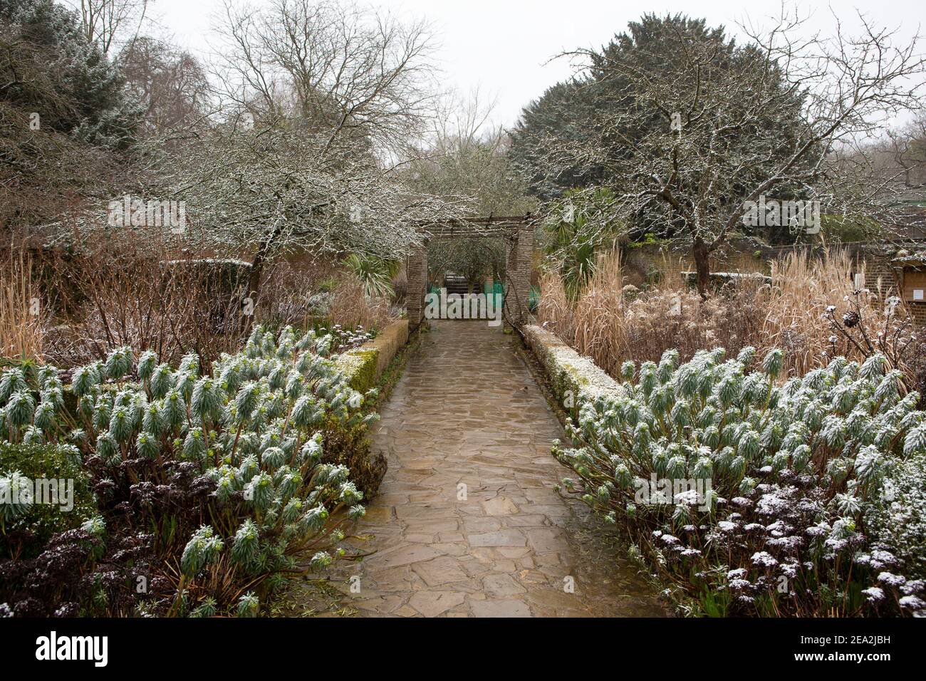 Jardin public avec dépoussiérage de neige Banque D'Images