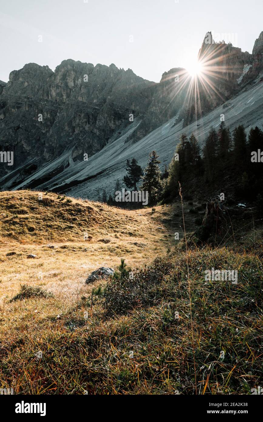 Des rayons du soleil matinal entre les sommets rocheux des montagnes Puez brillent sur les prairies alpines d'Antersasc alp en automne, Dolomites, Tyrol du Sud, Italie Banque D'Images