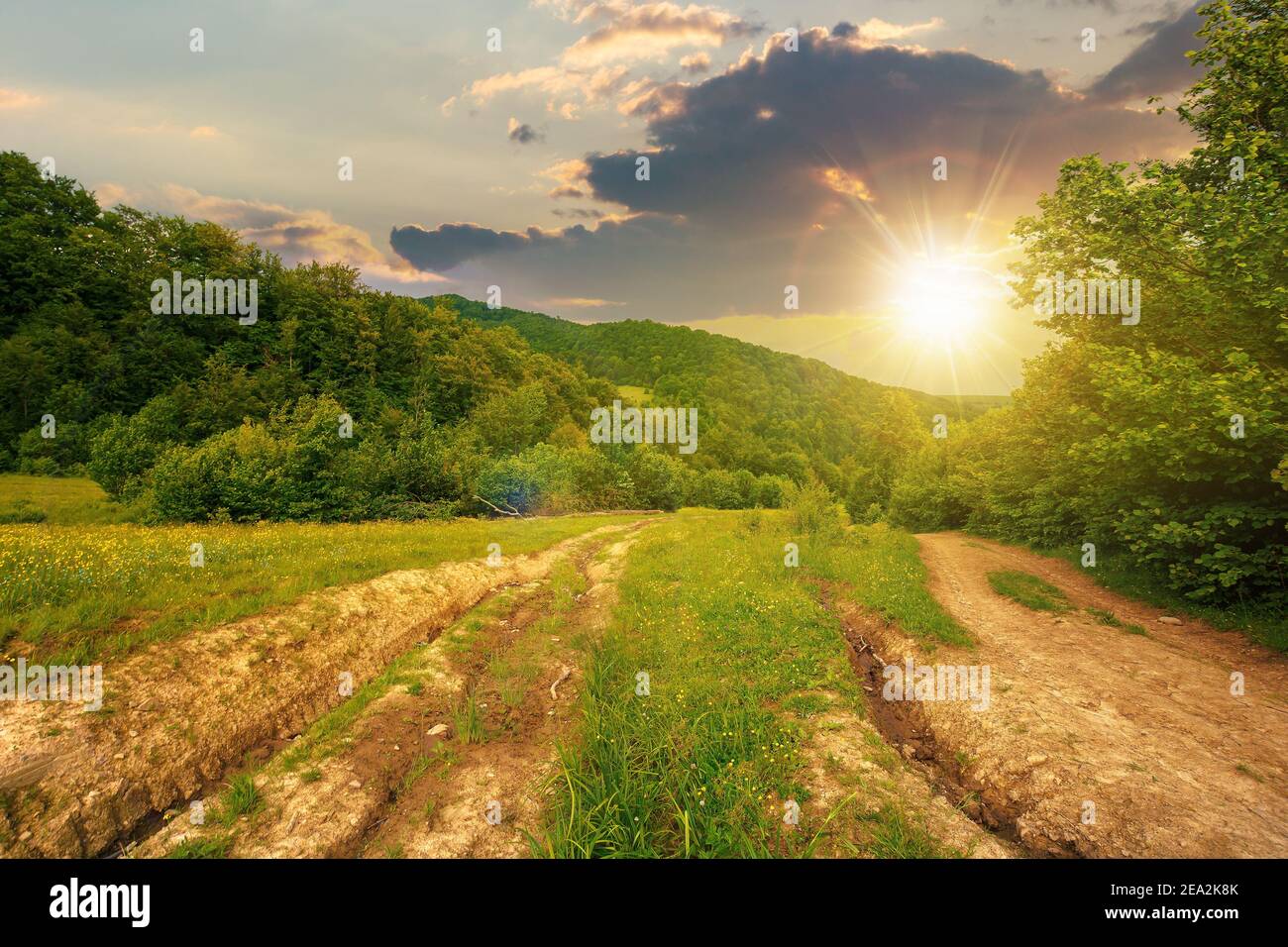 route de terre à travers la campagne boisée au coucher du soleil. magnifique paysage rural d'été dans les montagnes. aventure dans les paysages de la nature dans la lumière du soir Banque D'Images