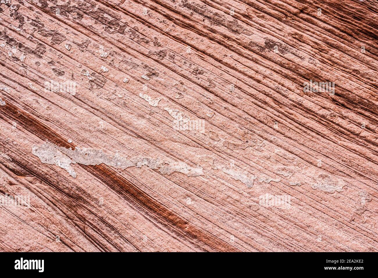 Texture de la roche de grès avec un modèle de couches diagonales irrégulières formées par les processus d'aéolian. Image en noir et blanc. Banque D'Images