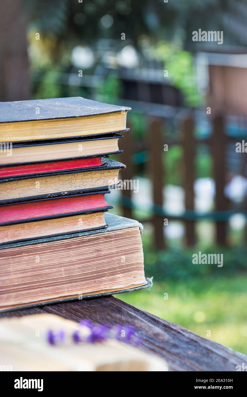 Pile de vieux livres de merde dans la cour Banque D'Images