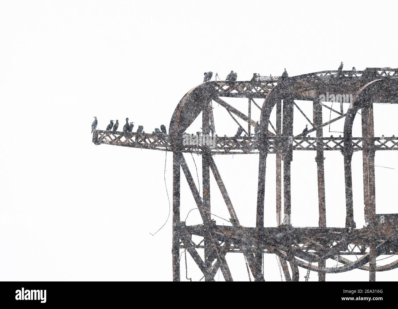 La neige tombe sur les cormorans nicheurs de la jetée ouest de Brighton, dimanche 9 février 2021 Banque D'Images