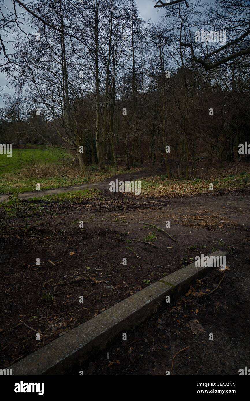 Chemin dans les bois Banque D'Images