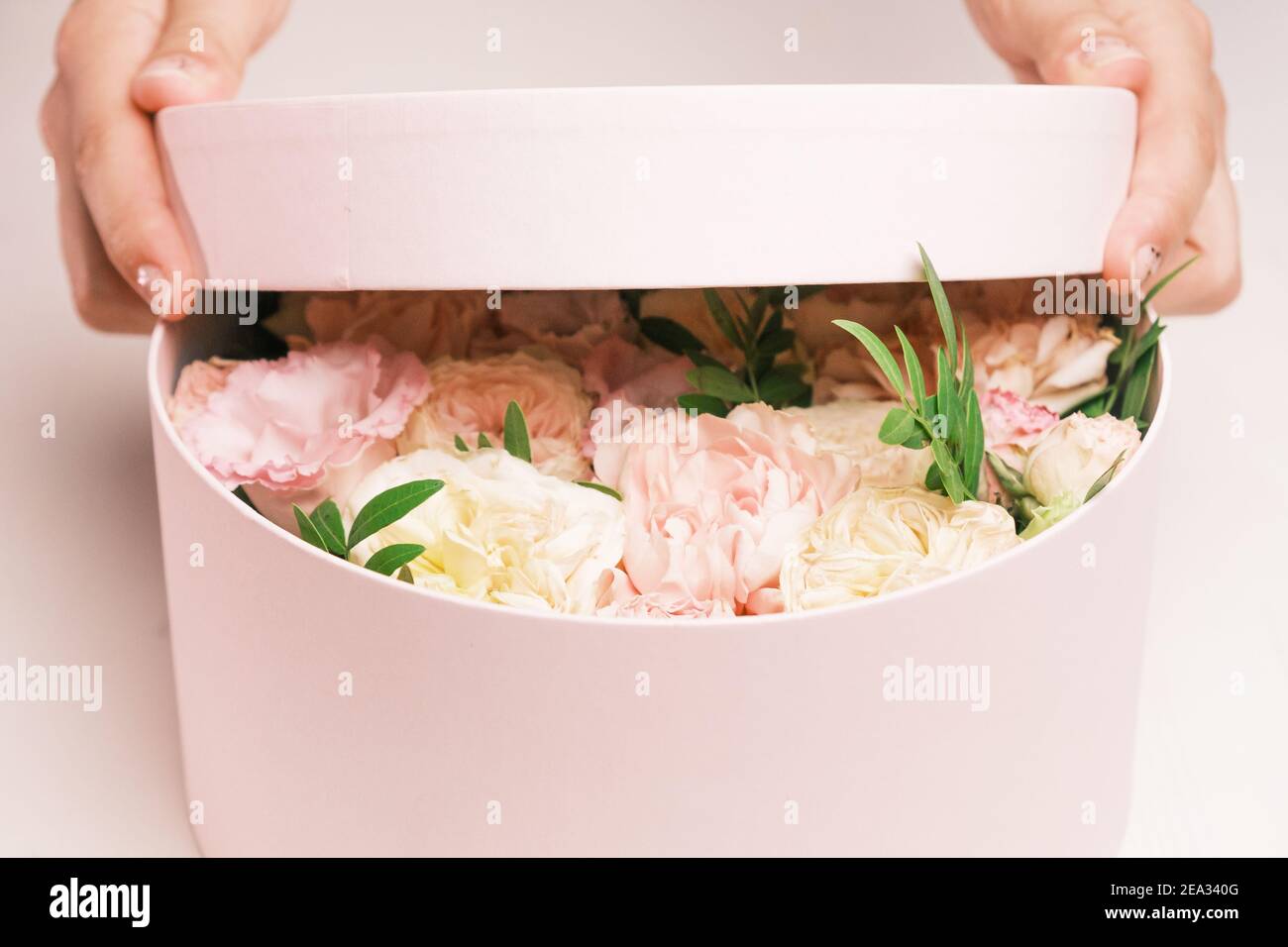 Gros plan les mains des femmes ouvrant les boîtes-cadeaux avec des fleurs fraîches. Le printemps arrive, journée internationale des femmes, bonne Saint Valentin, 8 mars, fête des mères Banque D'Images