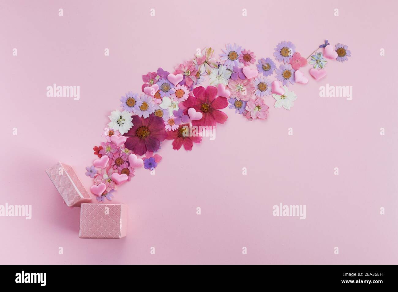 Boîte cadeau avec fleurs de coloful volantes sur fond rose. Pose à plat. Vue de dessus Banque D'Images
