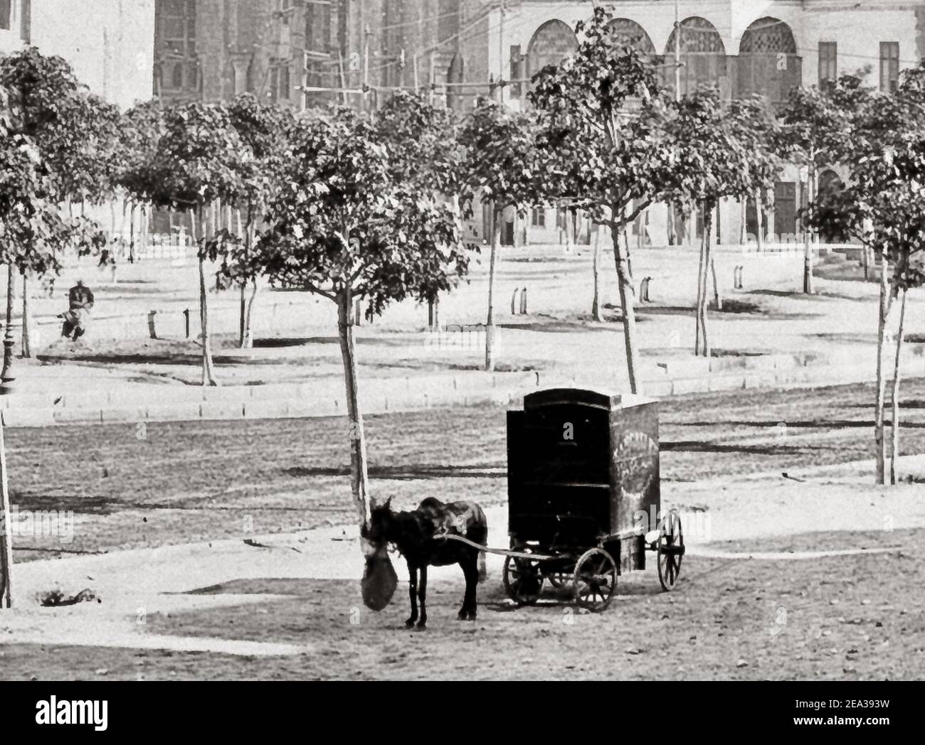 Photo fin du XIXe siècle Mosquée Sultan Hassan, le Caire, vers 1880, frères Zangaki photographes, photographie chambre noire, chariot de mule. Banque D'Images