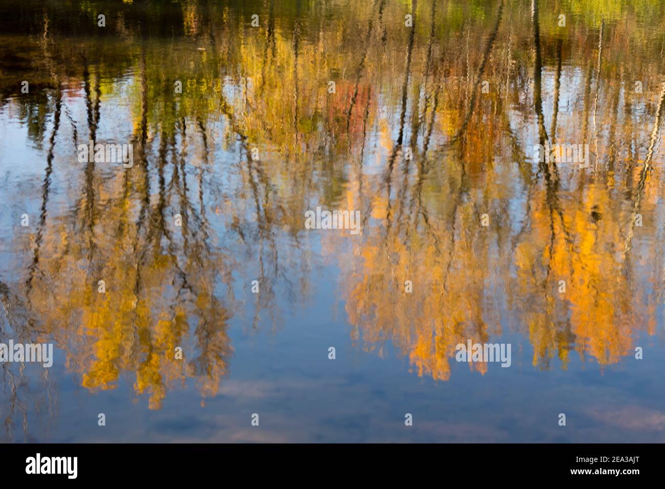 Paysage forestier d'automne reflété dans l'eau Banque D'Images