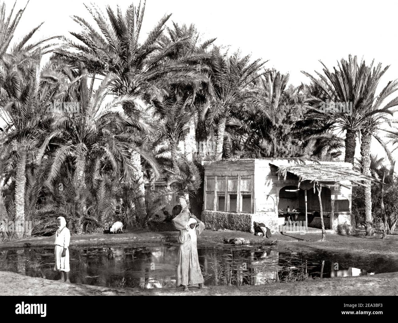 Photographie de la fin du XIXe siècle - puits de Moïse dans le Sinaï, vers 1880 Banque D'Images