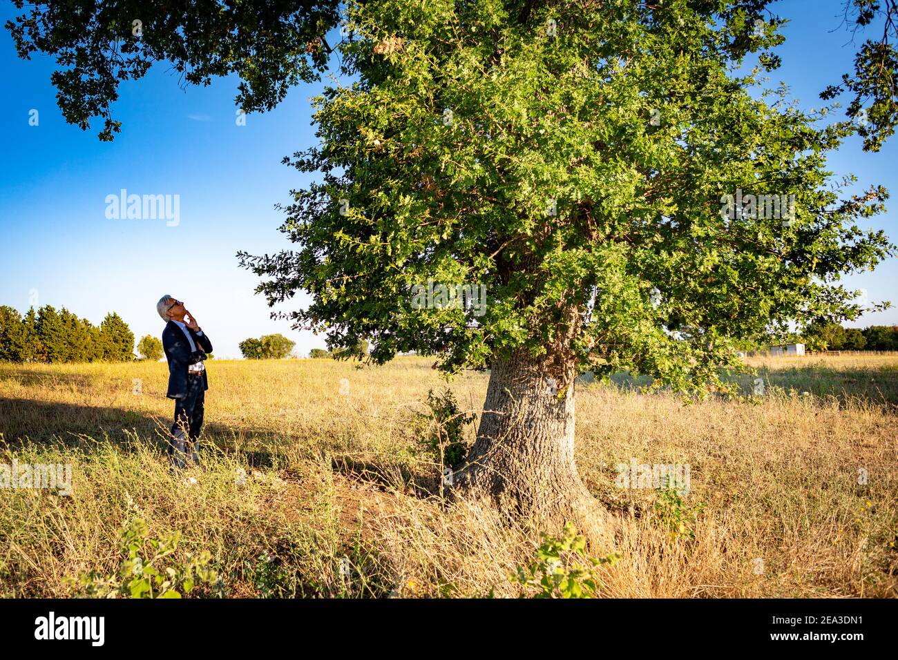 Le botaniste doutent parle avec l'arbre magique Banque D'Images