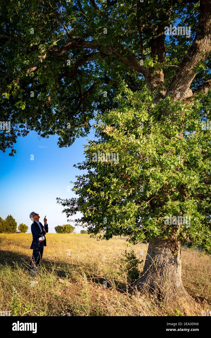 Le botaniste senior essaie de donner des ordres à l'arbre magique Banque D'Images
