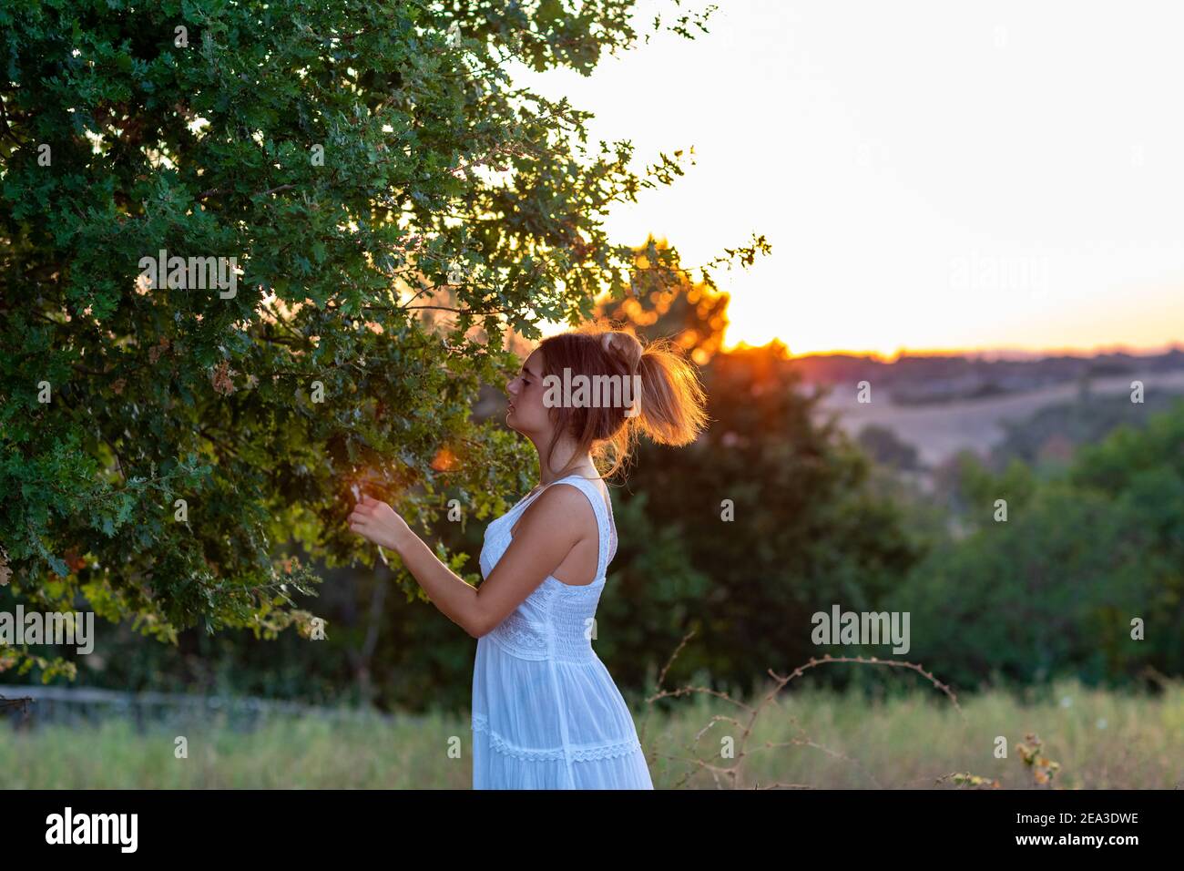 Profil d'une jeune fille en robe blanche au coucher du soleil avec des cheveux blonds attachés près de l'arbre magique Banque D'Images