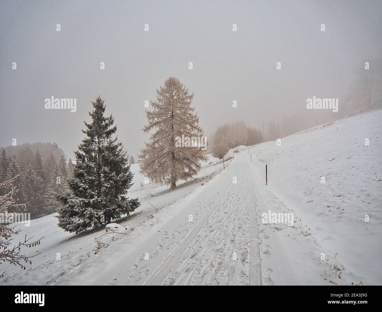 Scène d'hiver dans les montagnes de Salzkammergut Banque D'Images