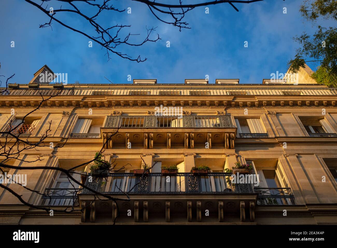 Photo prise à Paris d'une perspective symétrique d'une façade alyelyâtre haussmannienne vue d'en dessous. Banque D'Images