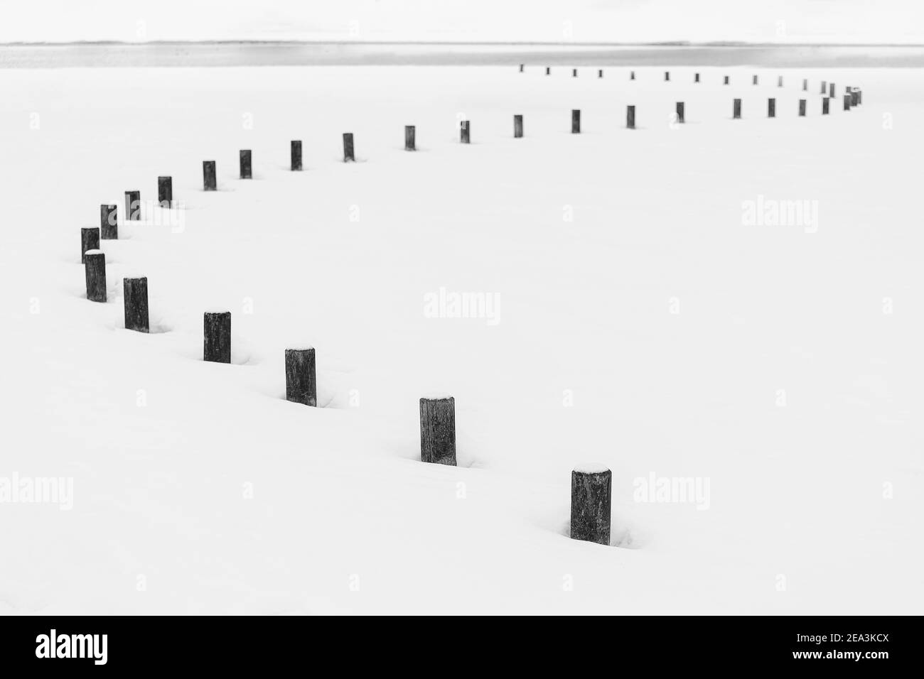 Arbre congelé en hiver à Alava, en Espagne Banque D'Images