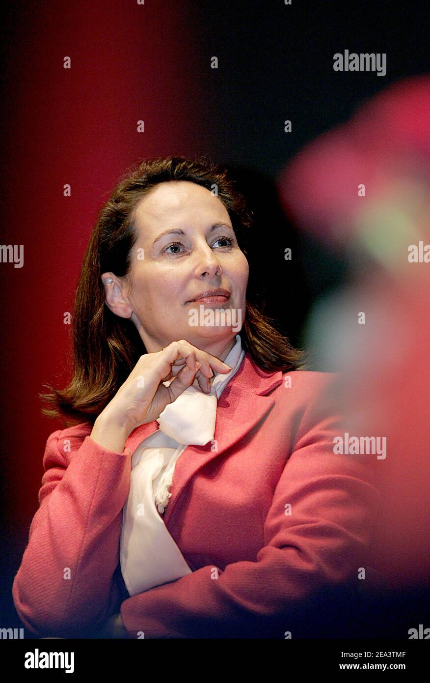 Le député socialiste français Segolene Royal participe à un rassemblement des partis de gauche français avec Noel Mamere (les verts) et Daniel Cohn-Bendit (Parti Vert) pour le vote OUI lors du référendum européen, qui s'est tenu à Talence, près de Bordeaux, le 14 avril 2005. Photo de Patrick Bernard/ABACA. Banque D'Images