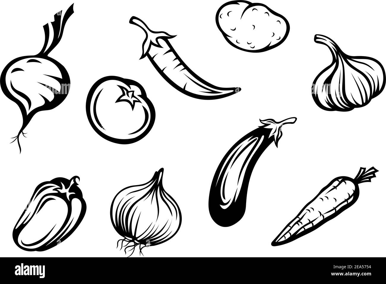 Ensemble de légumes frais isolés sur fond blanc Illustration de Vecteur