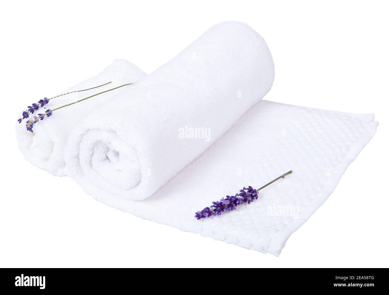 Serviettes de coton et le parfum de lavande - concept d'aromathérapie. Deux serviettes en coton blanc enroulées dans un tuyau et des fleurs de lavande. Banque D'Images