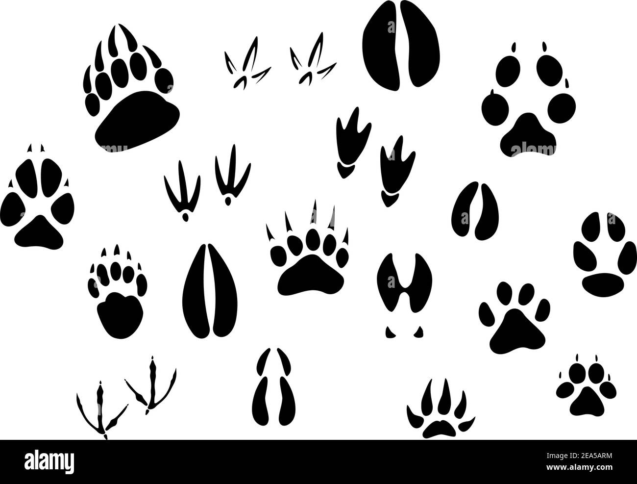 Animal - oiseaux et mammifères - empreintes silhouettes ensemble isolé sur fond blanc Illustration de Vecteur