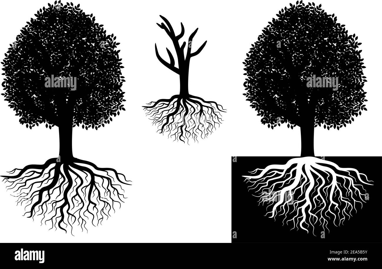 Arbre isolé avec racines pour les concepts d'écologie Illustration de Vecteur