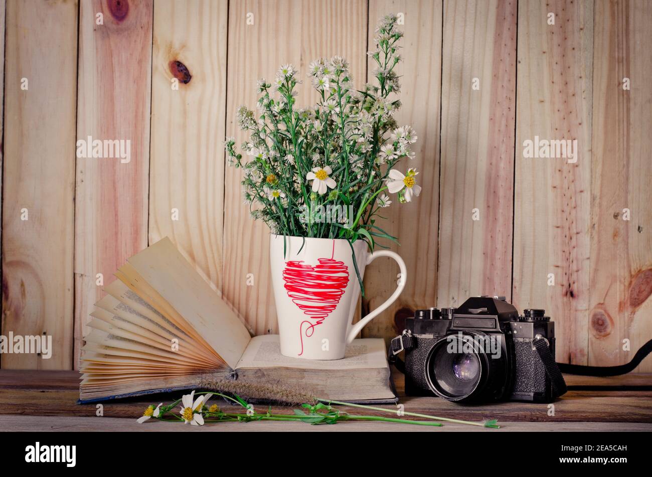 Les fleurs placées dans un bois de verre sur les livres et un appareil photo en arrière-plan. Banque D'Images