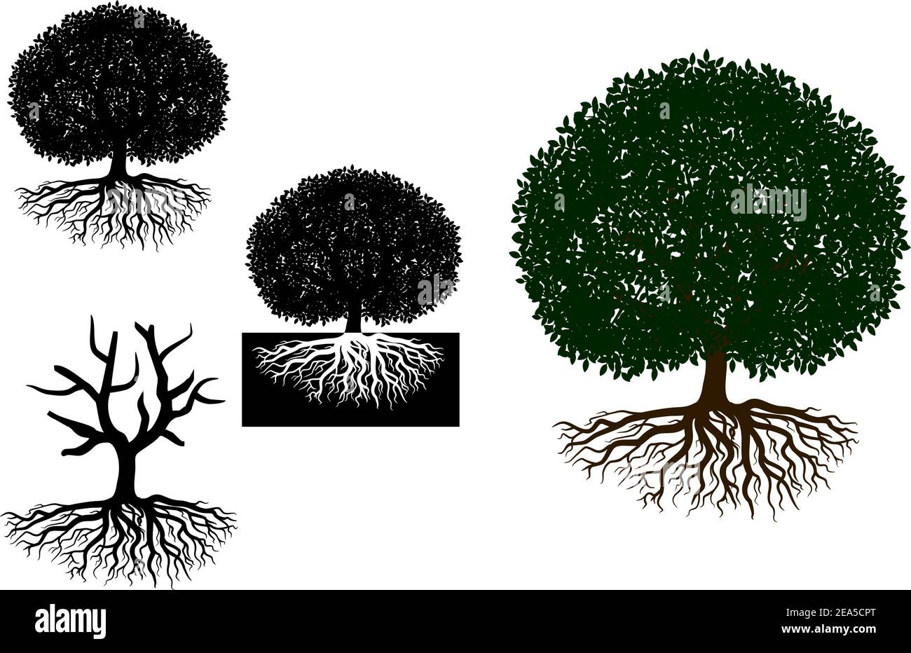 Grand arbre aux racines pour n'importe quel motif de nature ou d'écologie Illustration de Vecteur