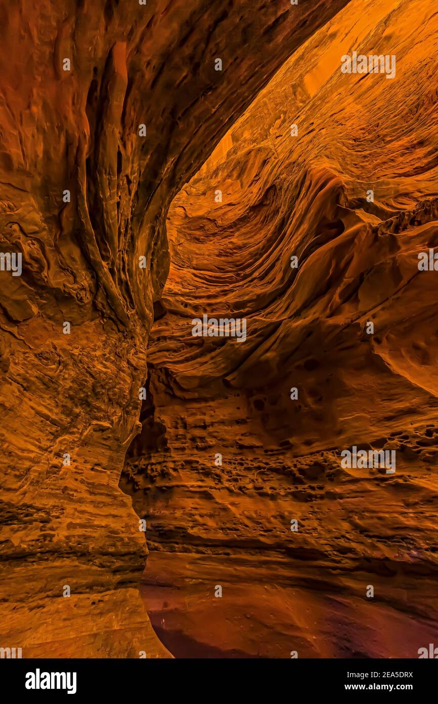 Formations de grès Navajo des narrows dans le Little Wild Horse Canyon dans le San Rafael Swell, dans le sud de l'Utah, aux États-Unis Banque D'Images