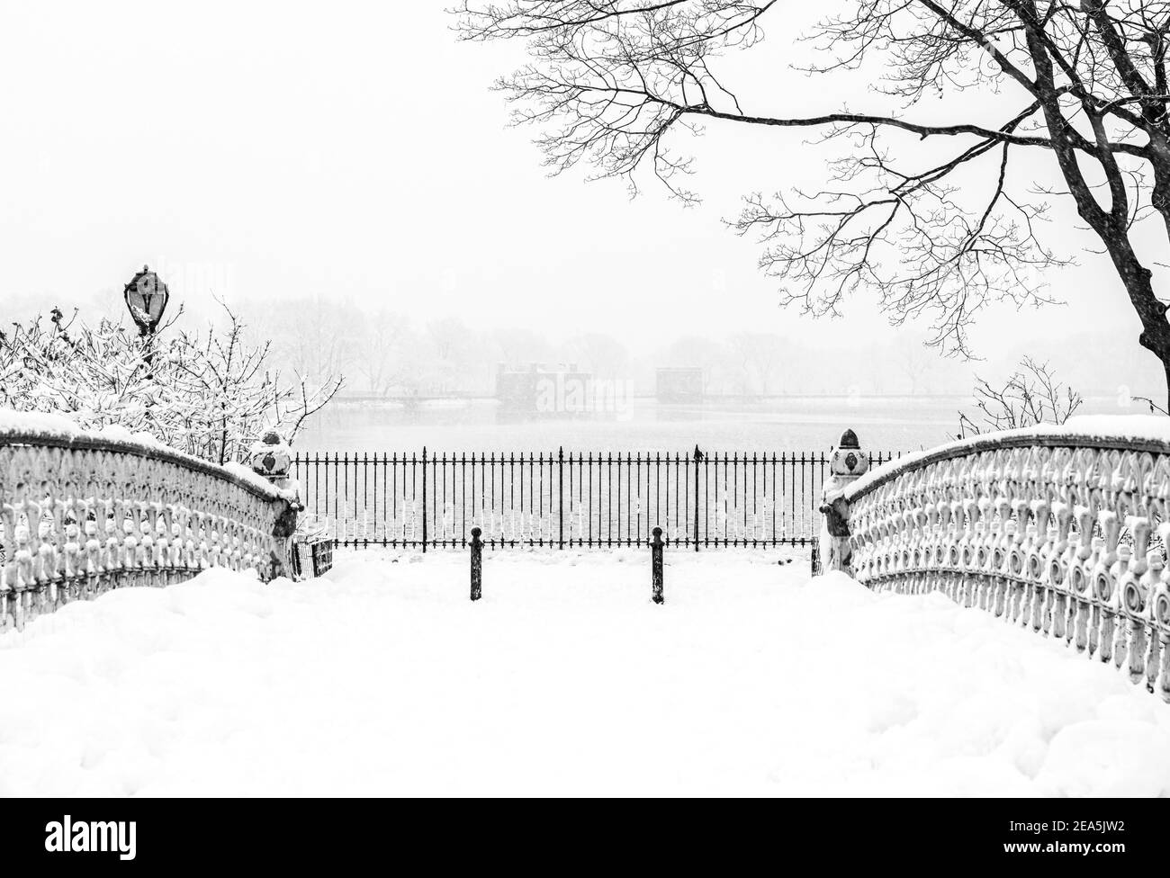 New York City Central Park pendant une tempête de neige Banque D'Images
