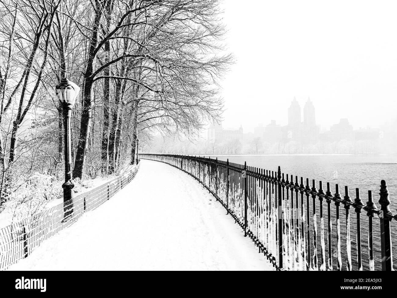 New York City Central Park pendant une tempête de neige Banque D'Images