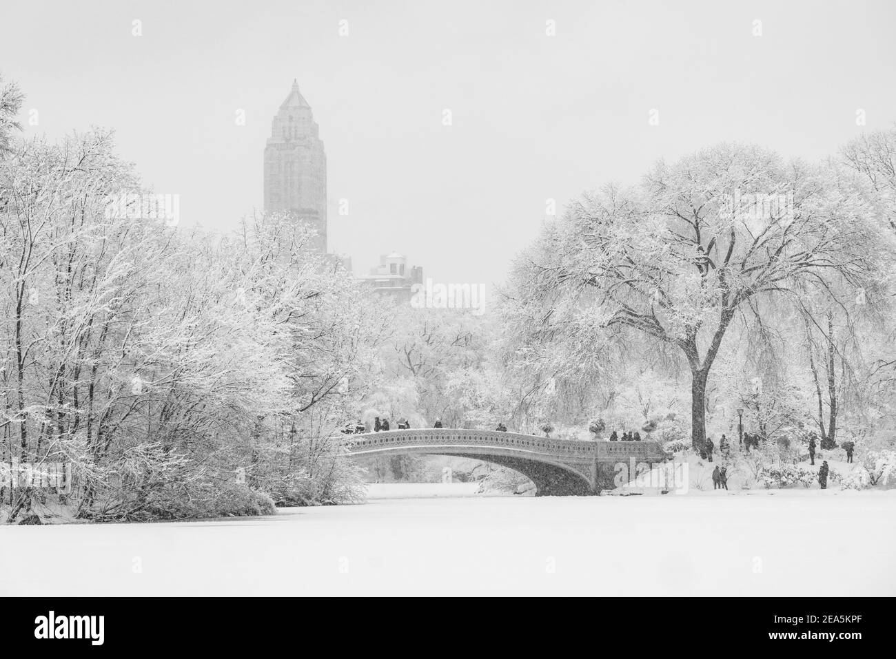 Personnes se tenant le long du pont dans Central Park pendant une tempête de neige. Banque D'Images