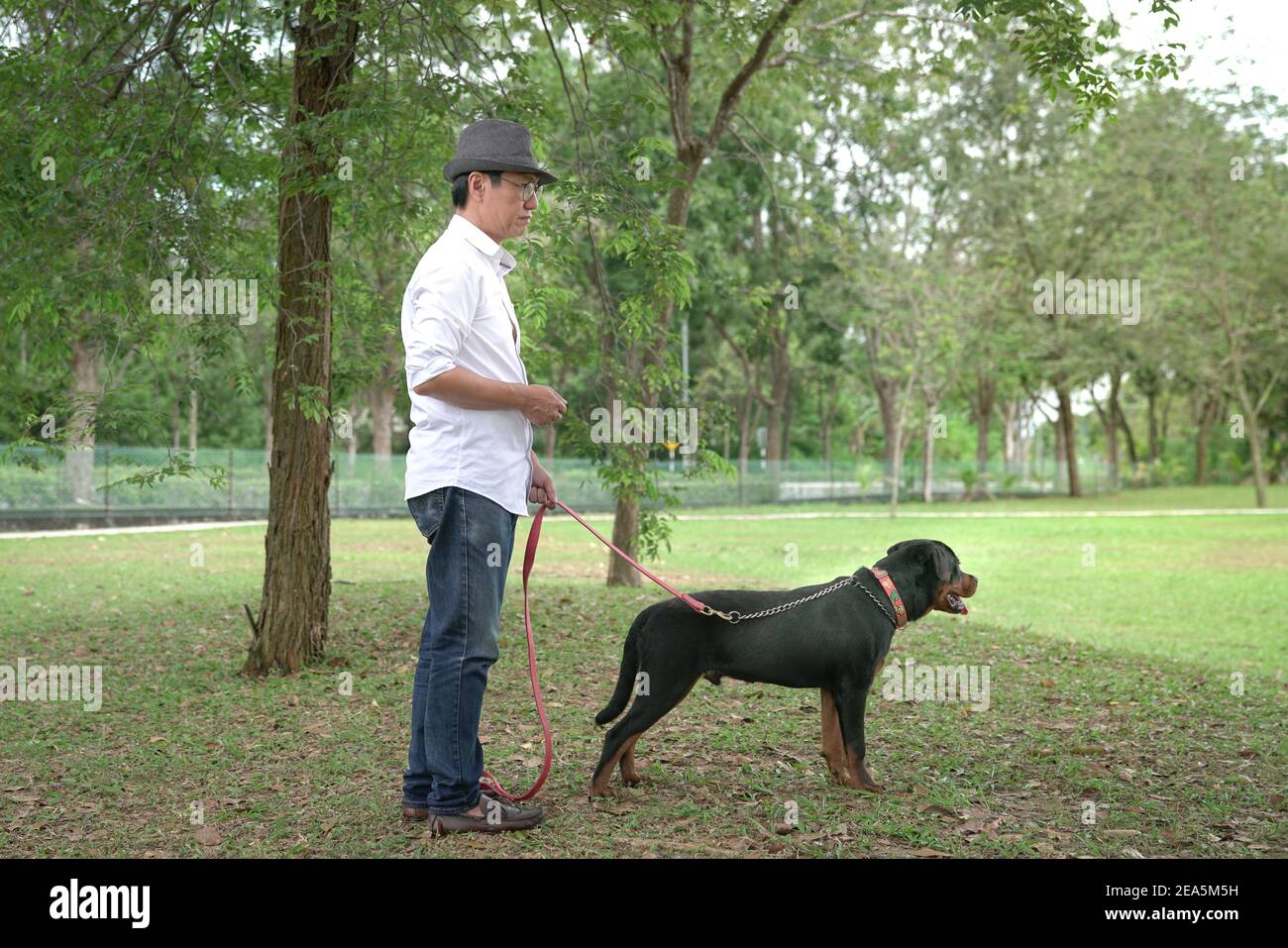 Homme adulte portant un chapeau et son chien dans le parc. Vue latérale. Banque D'Images