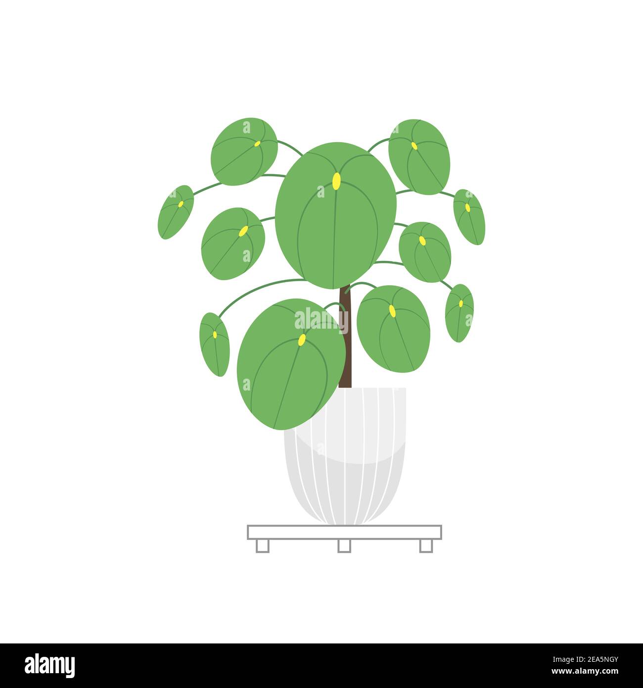 Plante pilea. Site résidentiel. Centrale monétaire chinoise. Vecteur. Illustration de Vecteur