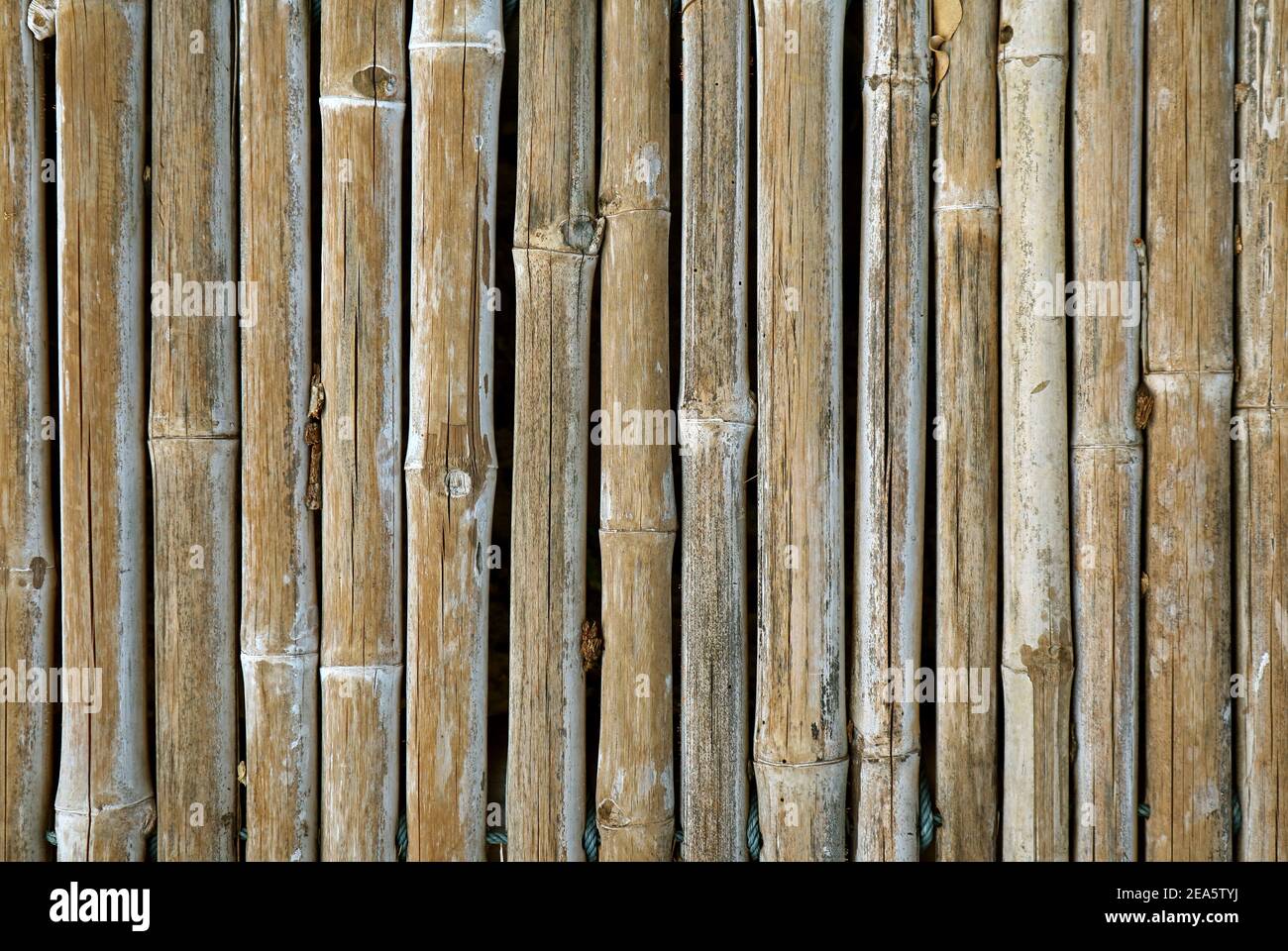 Motif à rayures verticales de la clôture en bambou abîmé Banque D'Images
