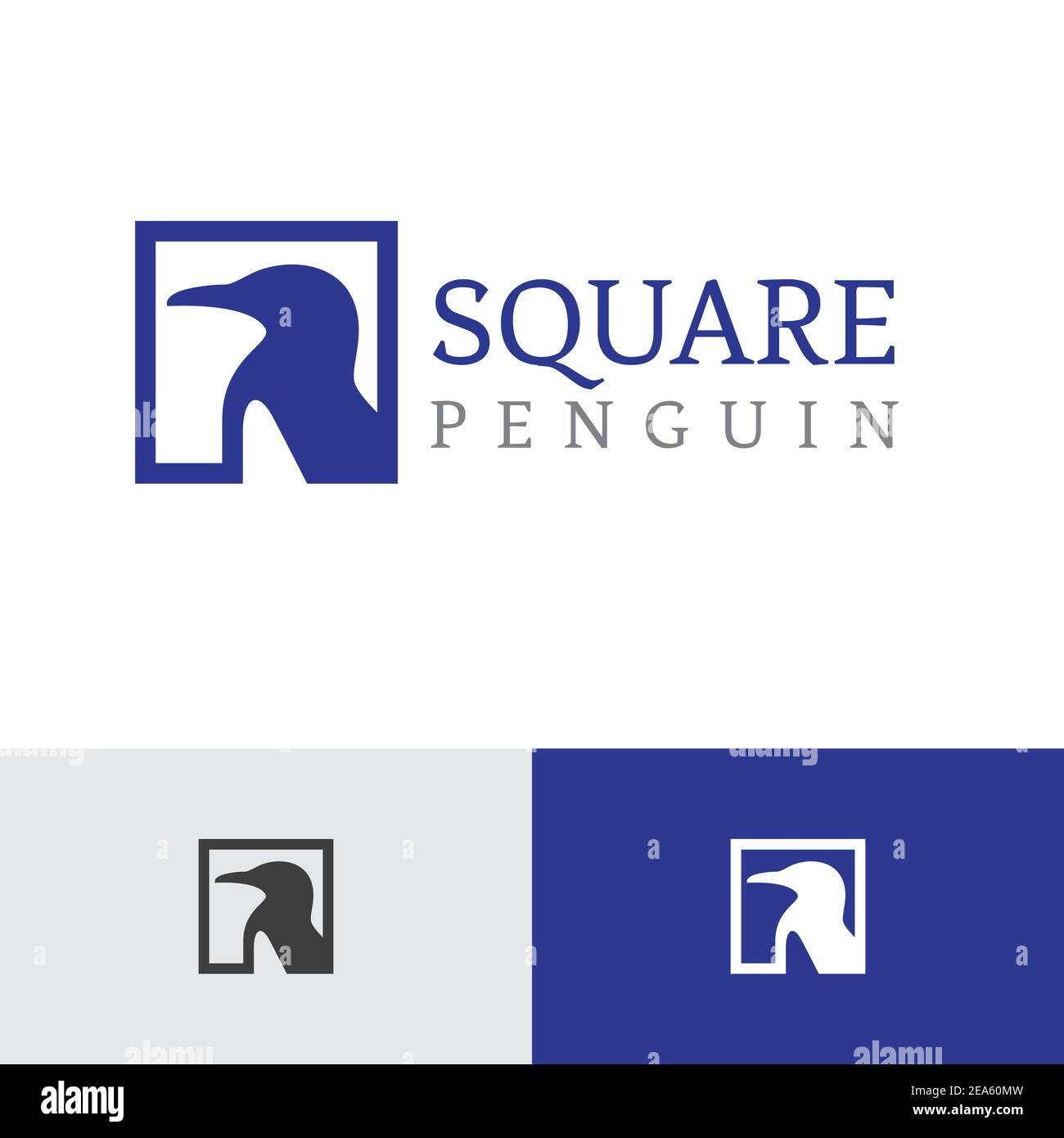 Modèle de logo moderne carré Penguin Animal Business Illustration de Vecteur