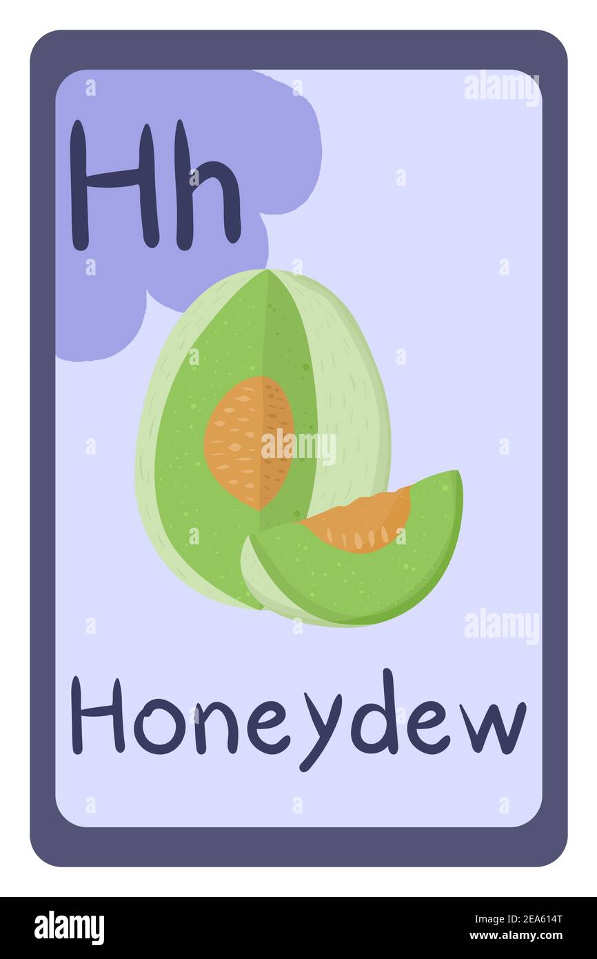 Carte flash d'éducation alimentaire ABC, lettre H - melon de miel. Modèle de dessin animé avec carte d'éducation à alphabet coloré. Illustration de Vecteur
