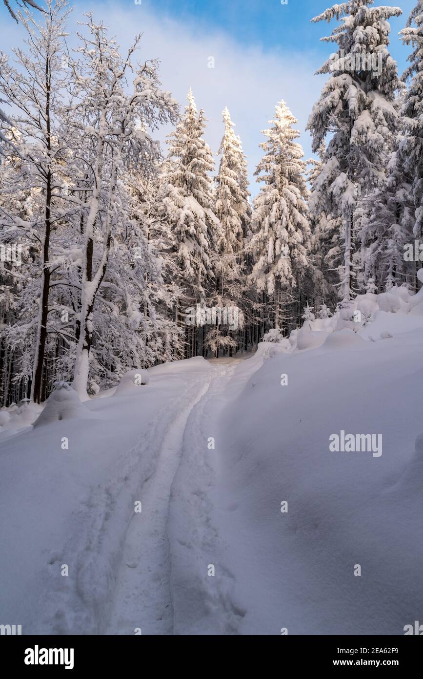 Paysage de montagne d'hiver avec sentier de randonnée couvert de neige, arbres et ciel bleu avec des nuages dans les montagnes Moravskoslezske Beskydy en République tchèque Banque D'Images