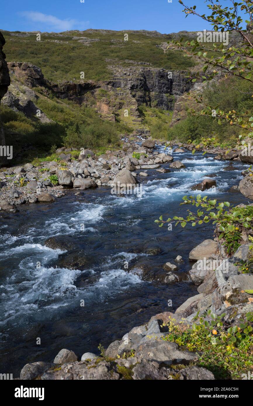 Schlucht des Flusses, Baches Botnsá im Westen, rivière à l'ouest de l'Islande Banque D'Images