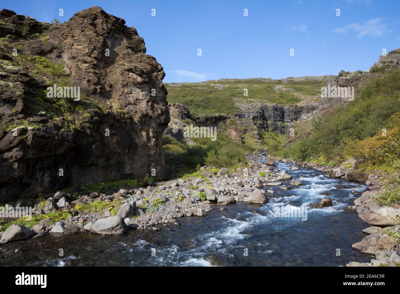 Schlucht des Flusses, Baches Botnsá im Westen, rivière à l'ouest de l'Islande Banque D'Images