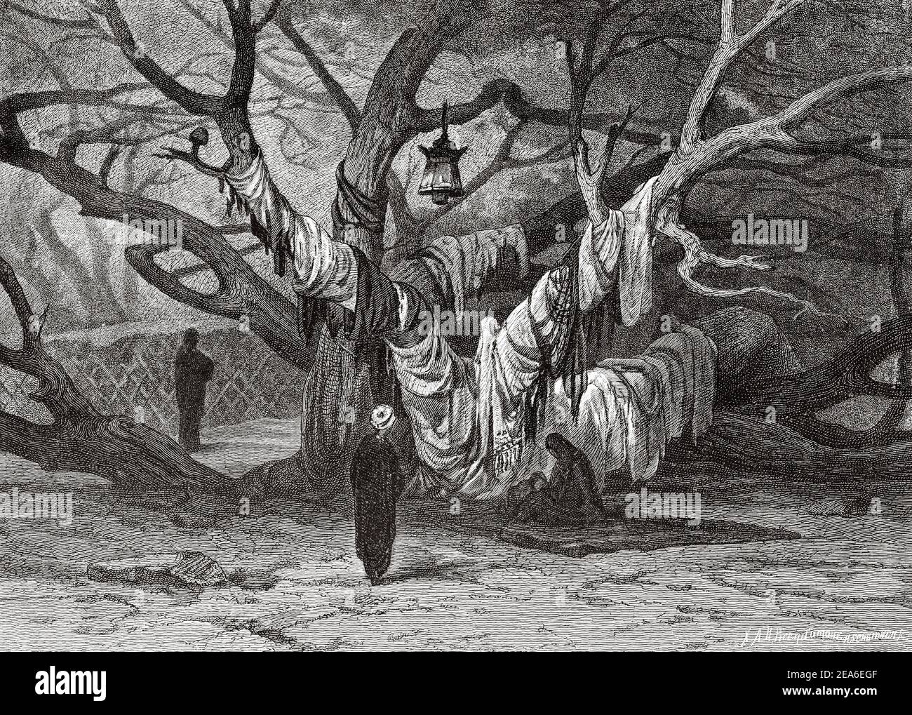 L'arbre pêché est un arbre sacré de la mythologie égyptienne. Histoire de l'Égypte ancienne. Ancienne illustration gravée du XIXe siècle d'El Mundo Ilustrado 1879 Banque D'Images