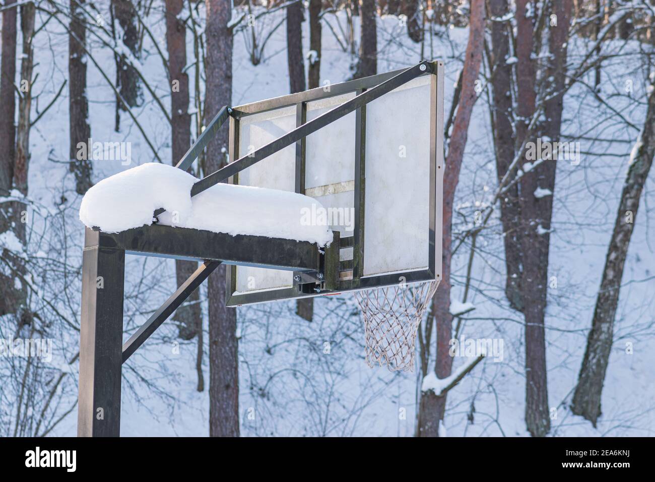 Concept de loisirs. Planche de basket-ball couverte de neige sur les terrains en hiver. Arrière-plan de la forêt de pins en hiver Banque D'Images