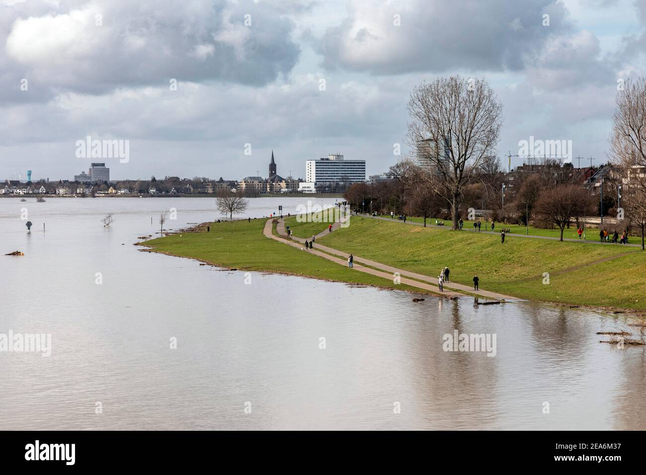 Les inondations sur le Rhin inondent les prairies de l'Oberkassel district Banque D'Images