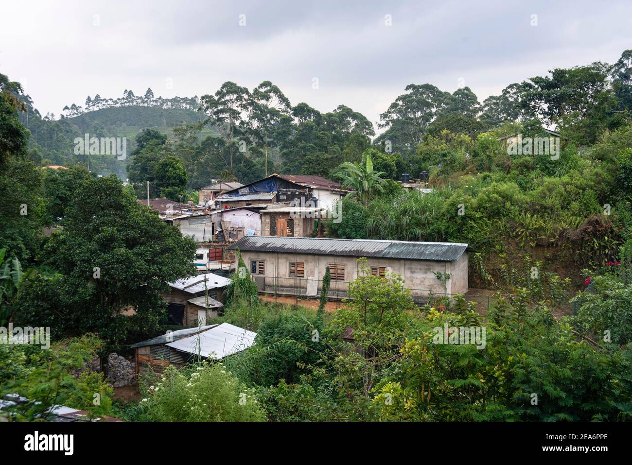 Chalets et maisons dans une forêt tropicale du Sri Lanka rural. Hill Country Banque D'Images