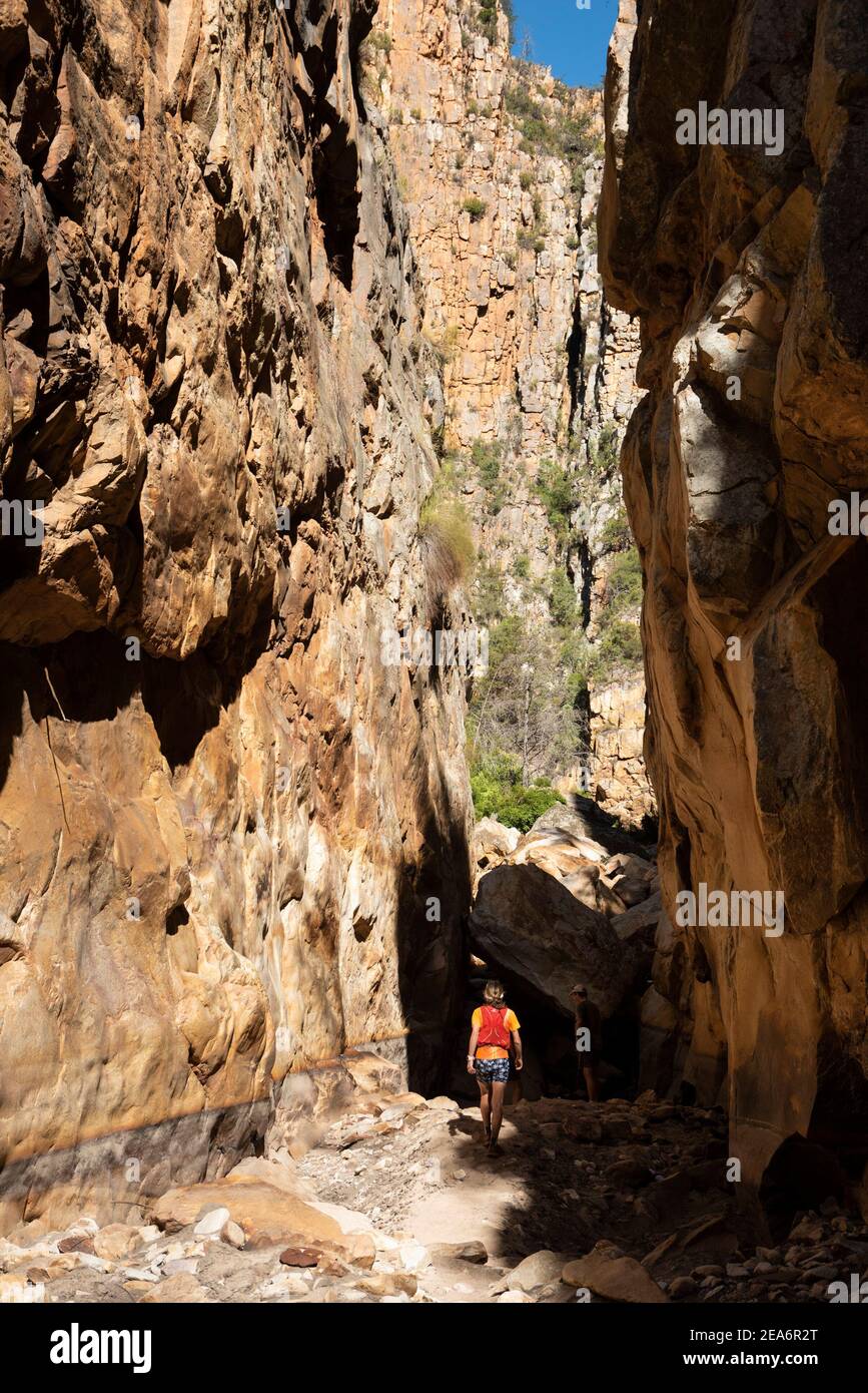 Randonnée / kloofing à Cedar Falls, Baviaanskloof, Afrique du Sud Banque D'Images