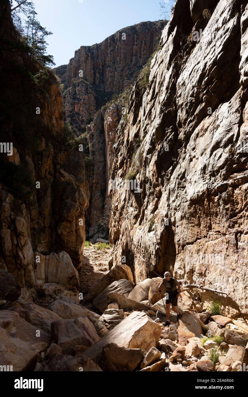 Randonnée / kloofing à Cedar Falls, Baviaanskloof, Afrique du Sud Banque D'Images