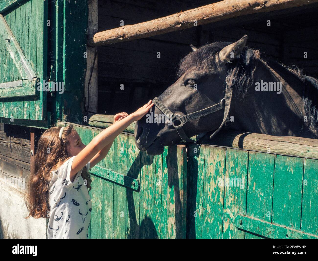 Fille debout près d'une porte stable à cheval, Pologne Banque D'Images