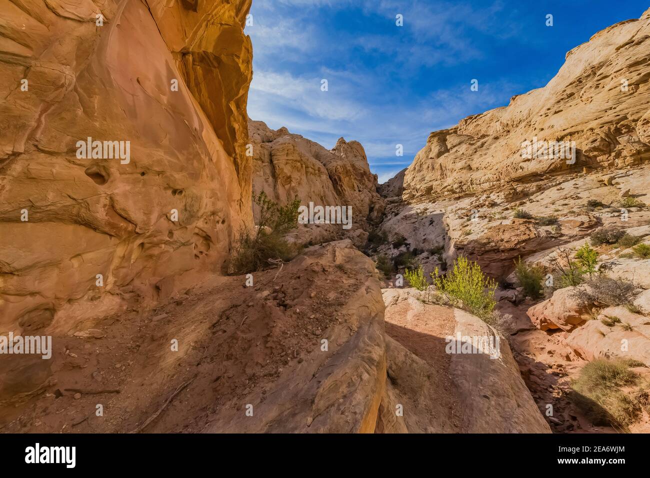 Formations de grès Navajo des narrows dans le Little Wild Horse Canyon dans le San Rafael Swell, dans le sud de l'Utah, aux États-Unis Banque D'Images