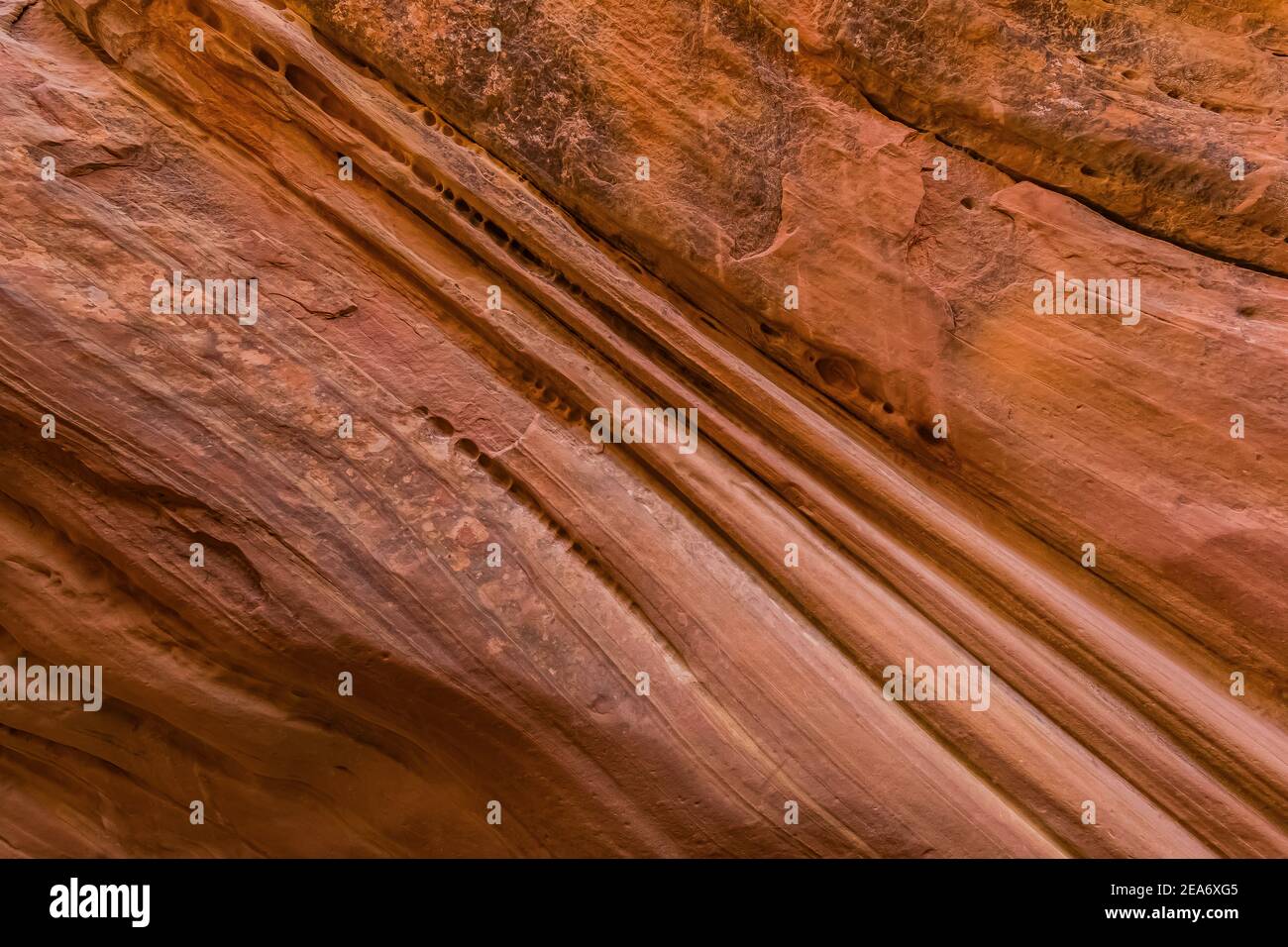 Formations de grès Navajo des narrows dans le Little Wild Horse Canyon dans le San Rafael Swell, dans le sud de l'Utah, aux États-Unis Banque D'Images