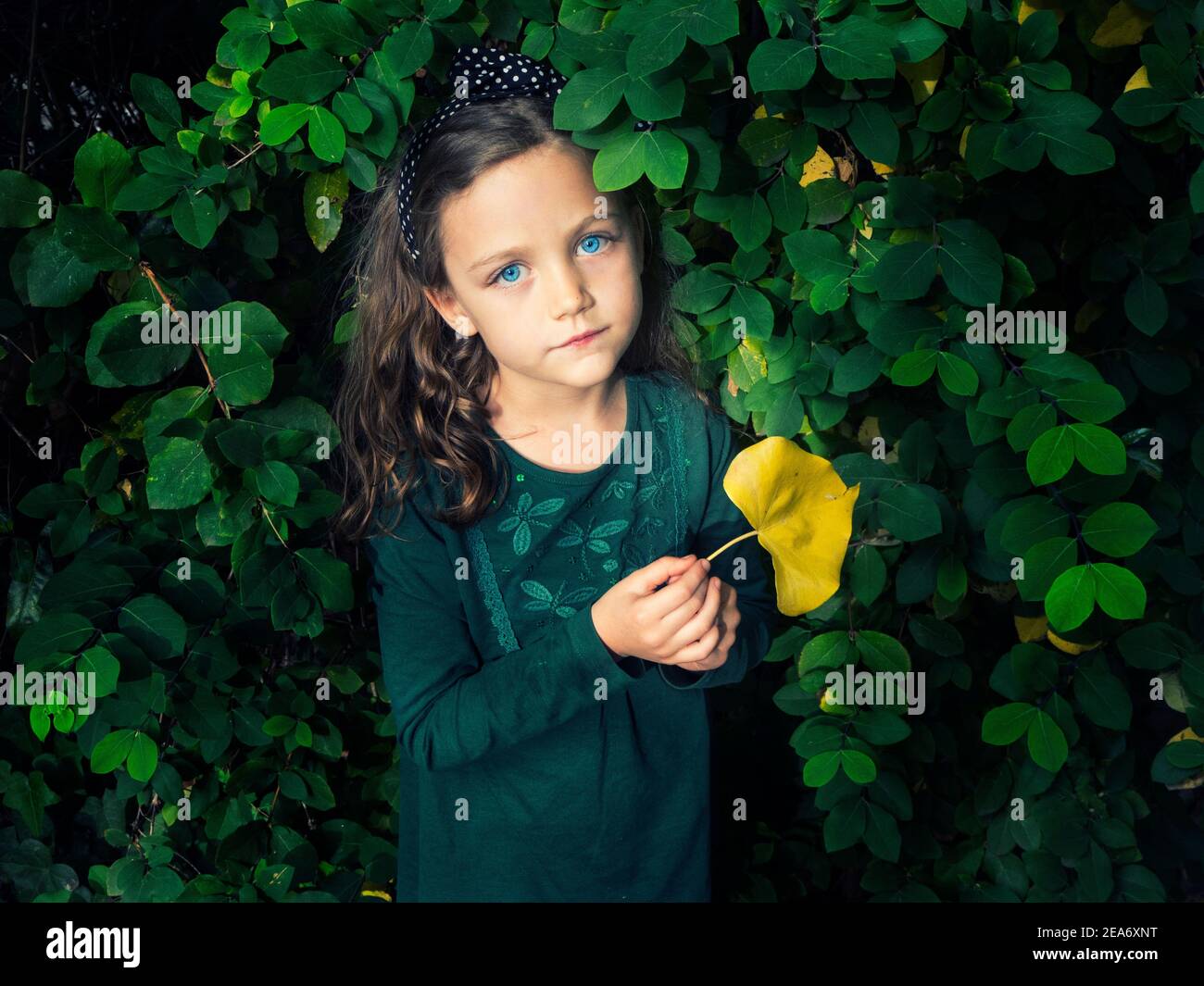 Fille debout près d'une brousse tenant une feuille, Italie Banque D'Images
