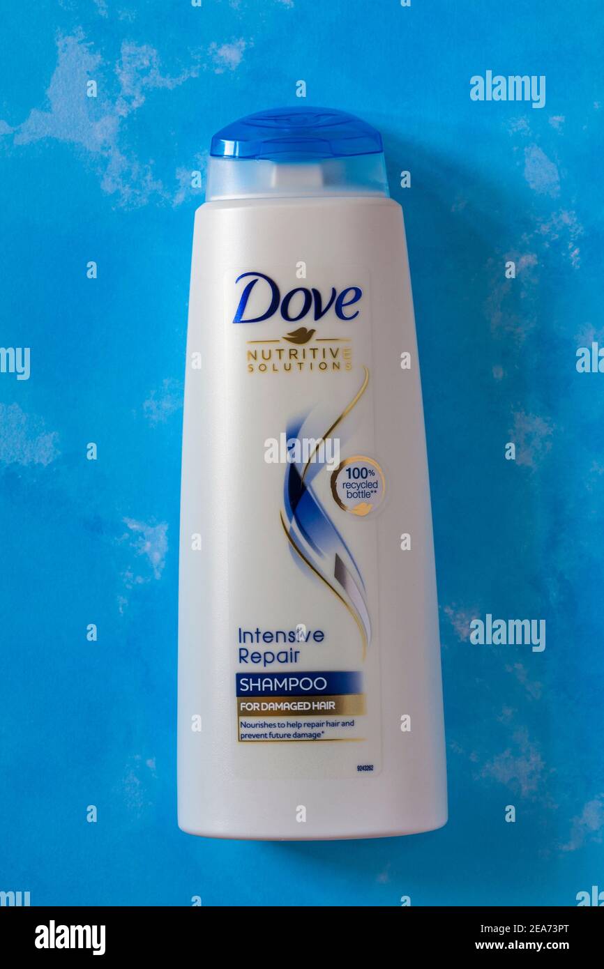 Bouteille de Dove nutritive solutions shampooing de réparation intense pour  endommagé ensemble de cheveux sur fond bleu à motifs Photo Stock - Alamy