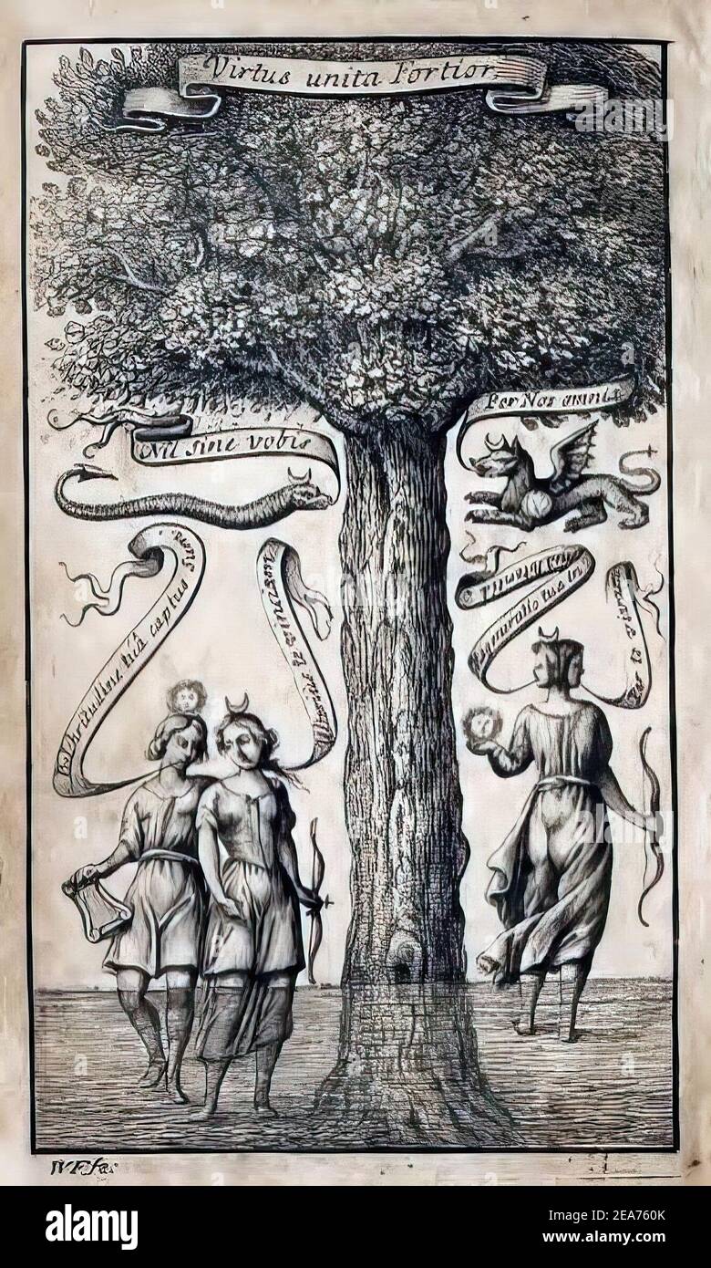 Illustration d'un arbre de vie d'une alchimie du XIXe siècle livre Banque D'Images